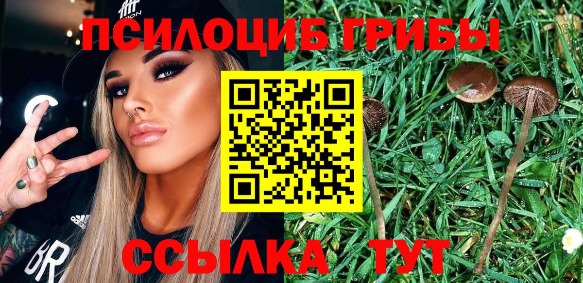 Псилоцибиновые грибы Magic Shrooms Балтийск
